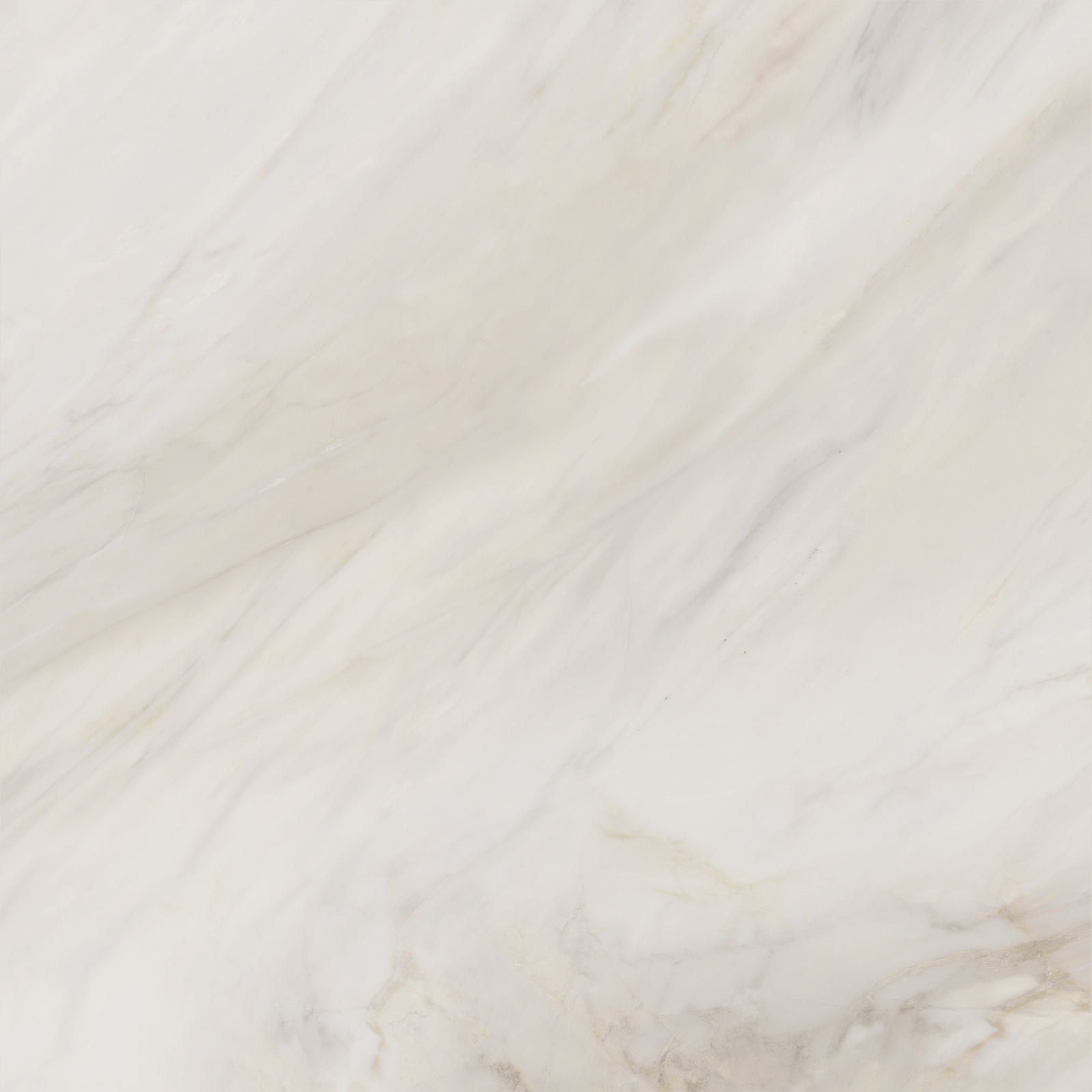 6060CAA01M Carolina Crema матовый 600x600x9.5 Delacora