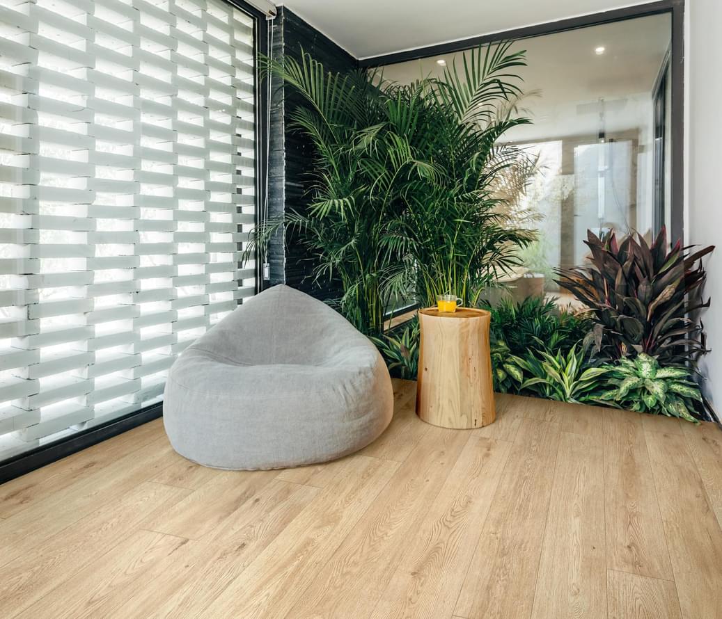 Inedito Ragno Marazzi