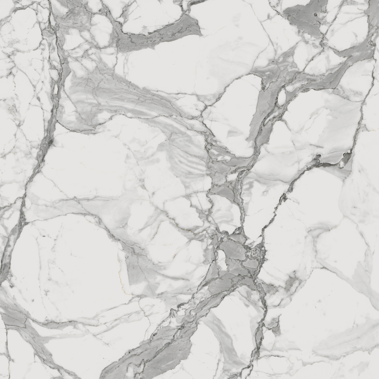 610010001678 Charme Evo Statuario Nat Ret 80x80 Italon фото 4
