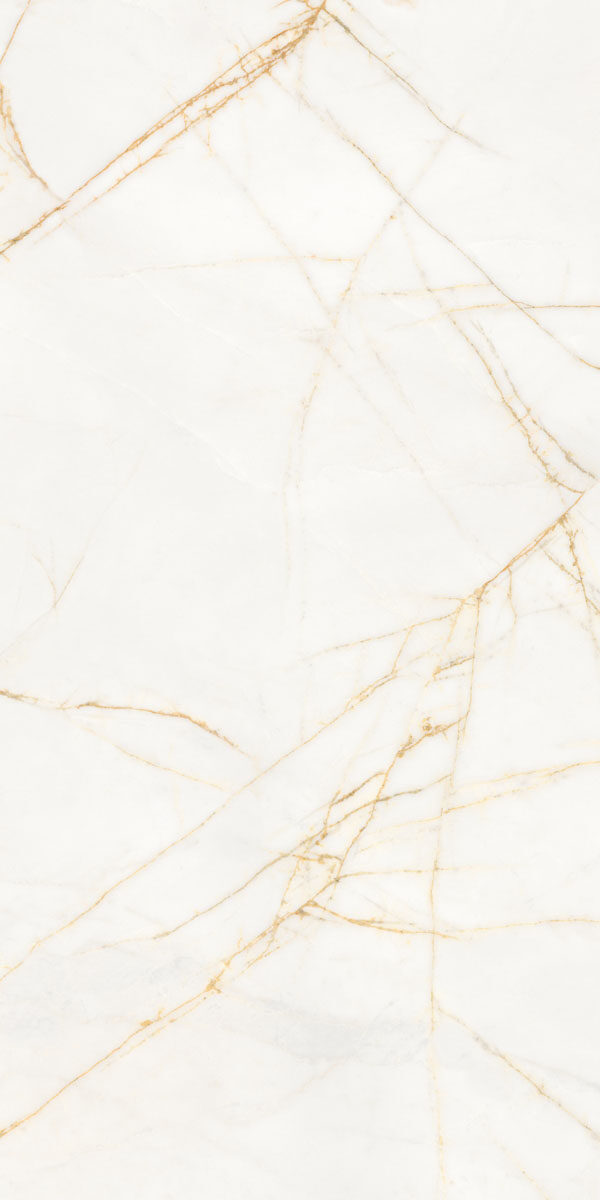 PF60017518 Supreme Hedonism Golden Spider Nat R 60x120 Flaviker