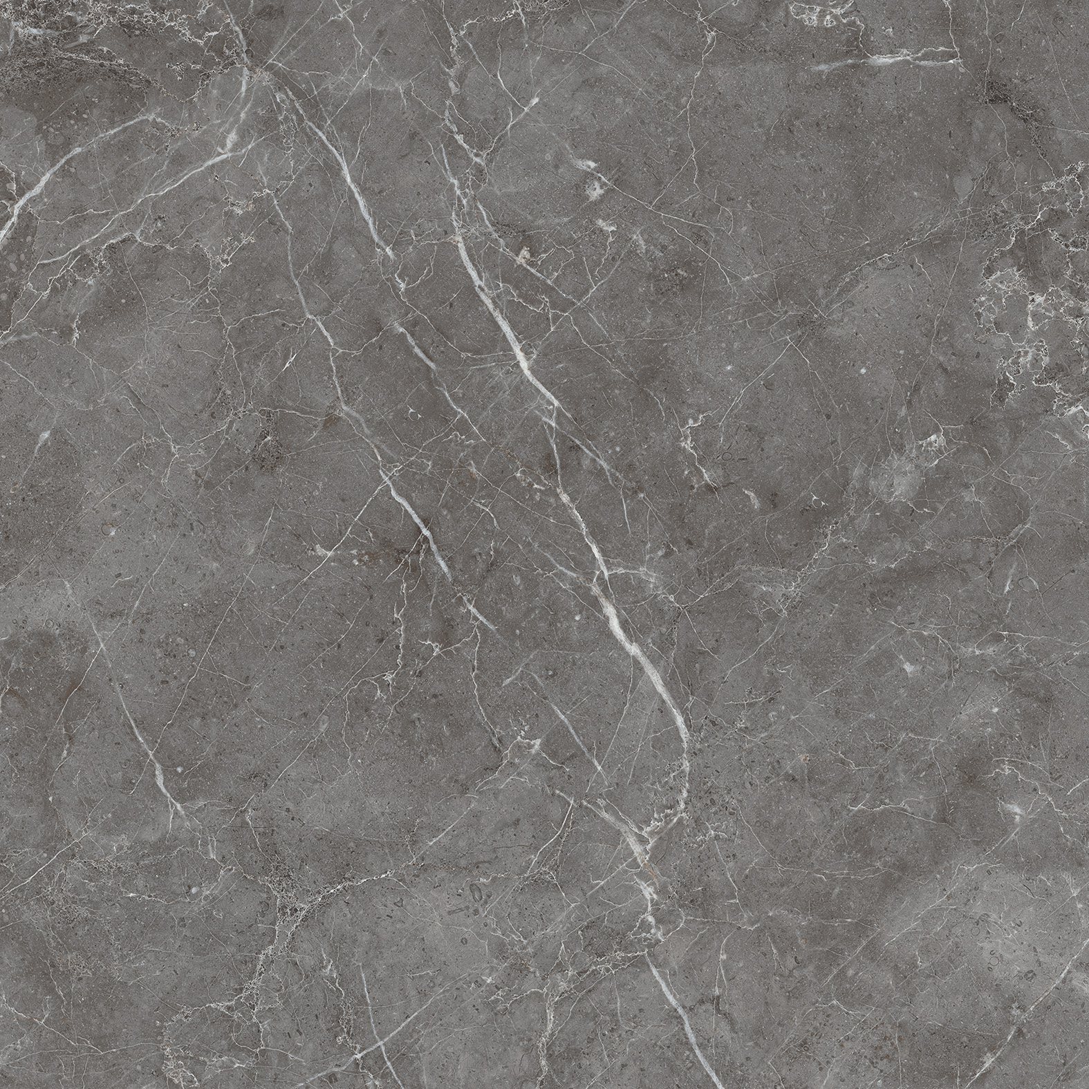 CR6001-A Esperia Grigio Carving 60x60 Arcadia Ceramica фото 4