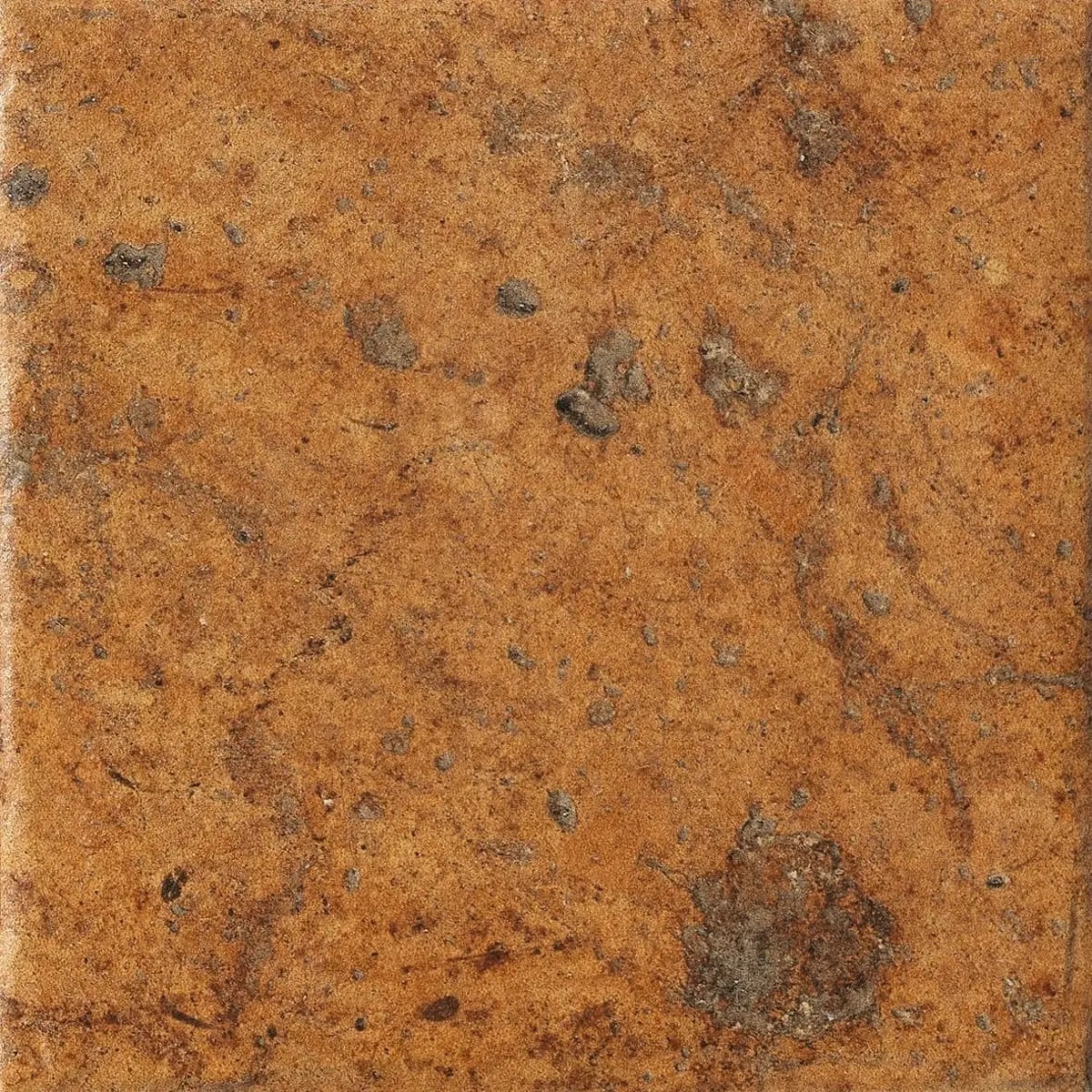 1080481 Cotto Del Campiano Cotto Dorato 20x20 CIR
