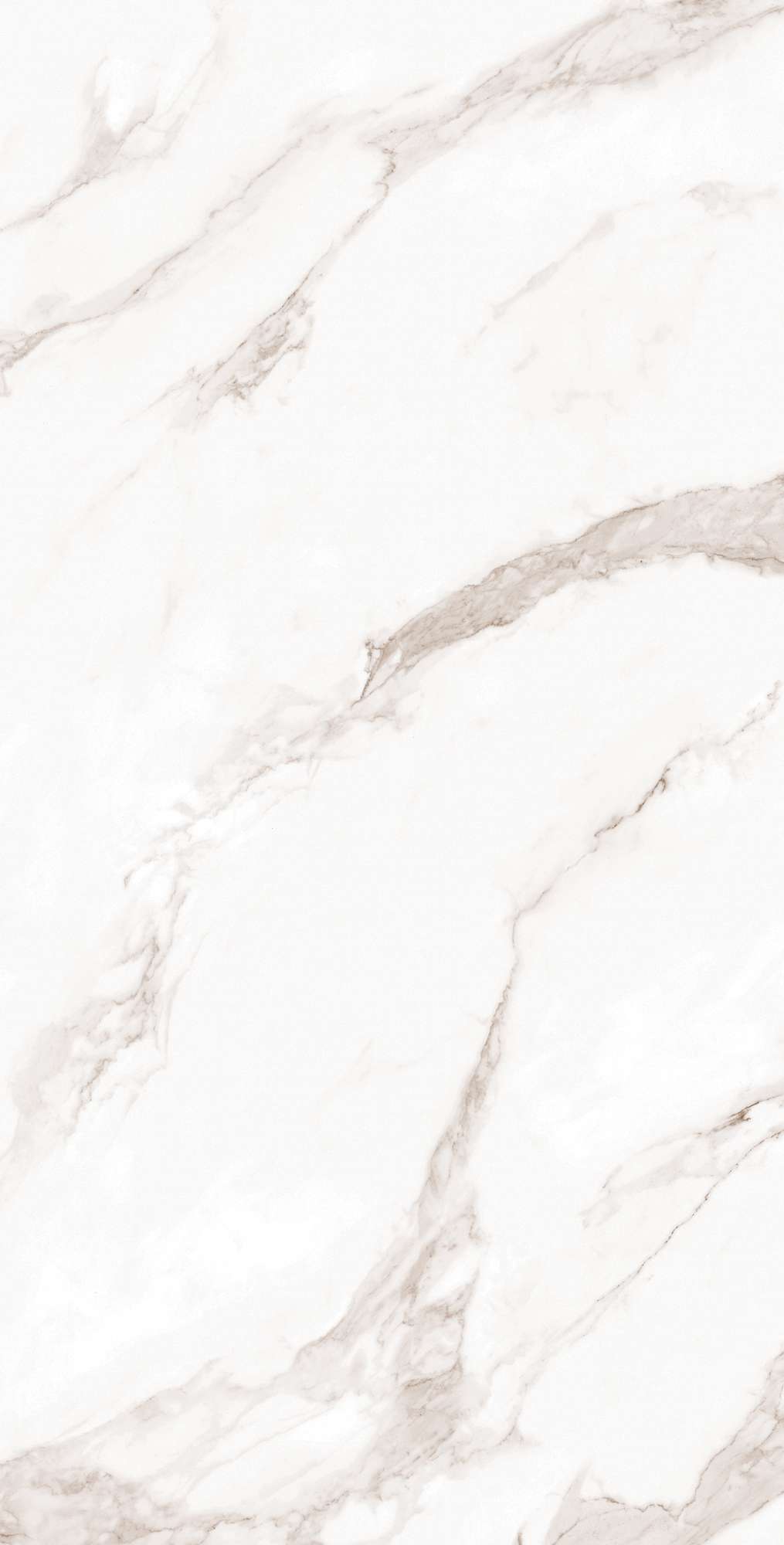 FP1019-A Calacatta Bianco Full Polished 60x120 Arcadia Ceramica