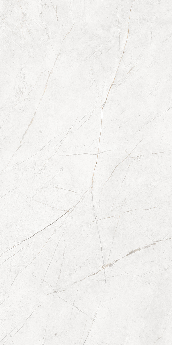NL00 Nolana White Полированный 60x120x9 Estima фото 9