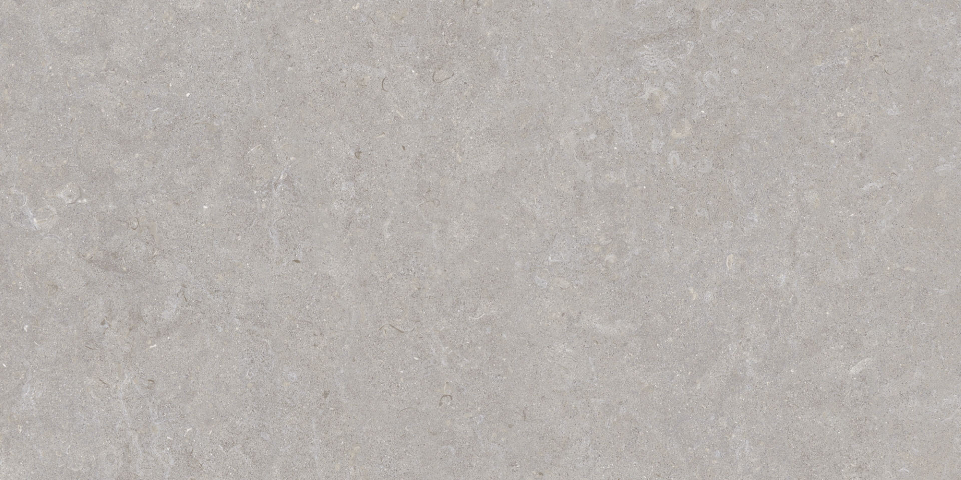 35568 Ghent Grey/50X100X2/A/R 50x100 Peronda фото 16