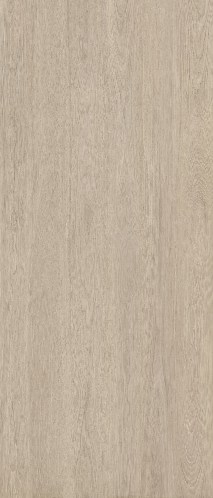 A040486 Kinwood Beech Rect 120x280 Ape Ceramica