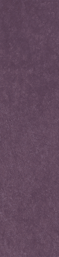 Scs Spectra Wine Glossy 5,8х25 Simpolo Ceramics