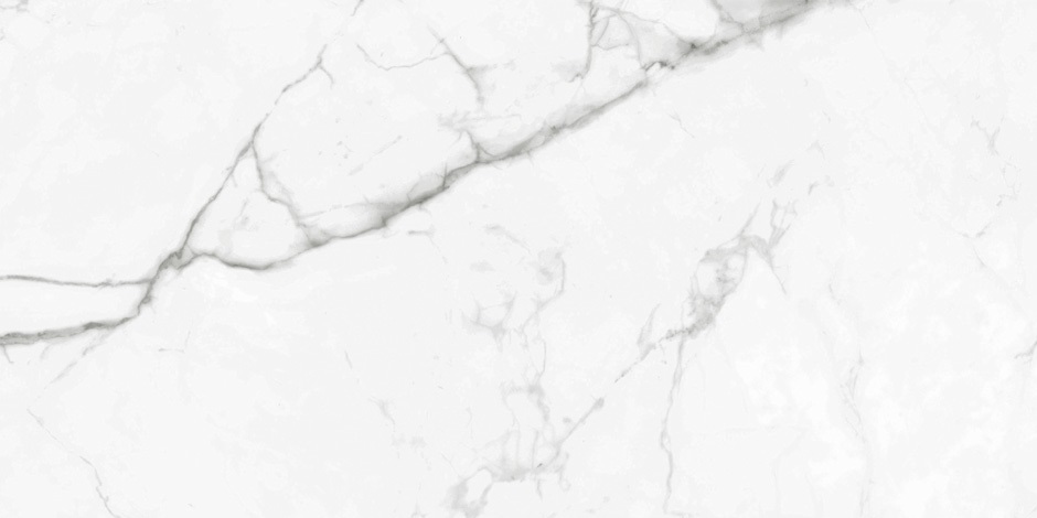 BB612NTT9100P Bright And Shiny 60x120 NT Ceramic фото 8