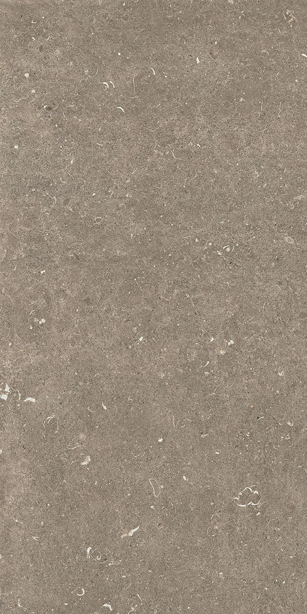 785576 Rinascenza Arena Pietra Matte 6mm 60x120 Casa Dolce Casa