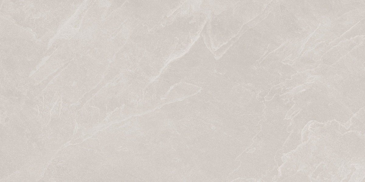 Archie Bianco Pro светло-серый матовый R10GR STR 60х120 Laparet