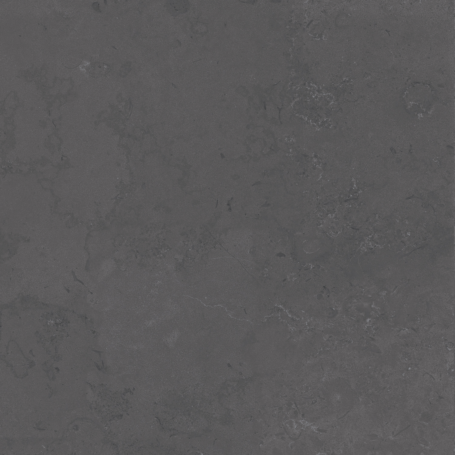 DD640800R Про Лаймстоун серый темный натуральный обрезной R10 60х60 Kerama Marazzi