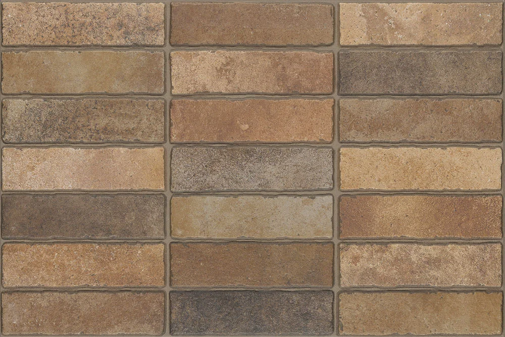 Elvas Coto 40x60 Bestile