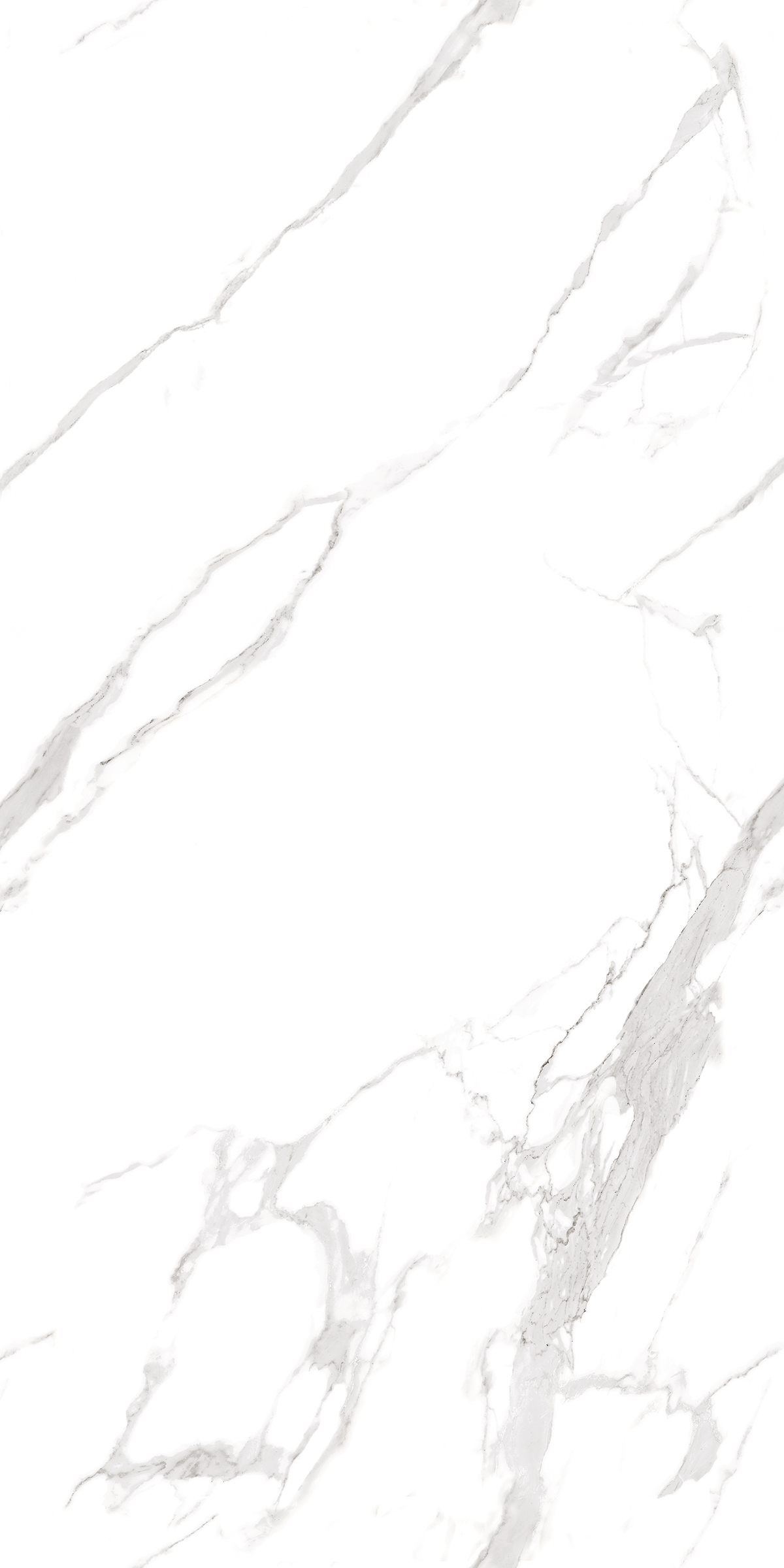 900 Statuario Fantastico 120x60 Artcer