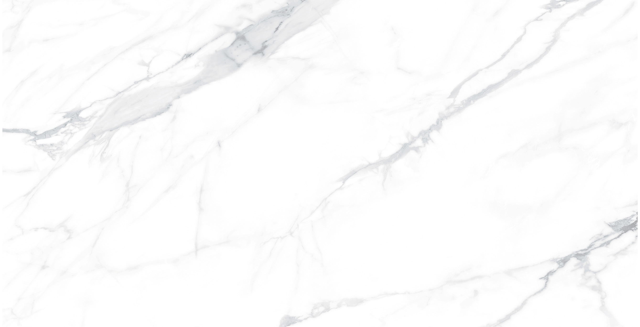 Paola Bianco Polished 60x120 ITC