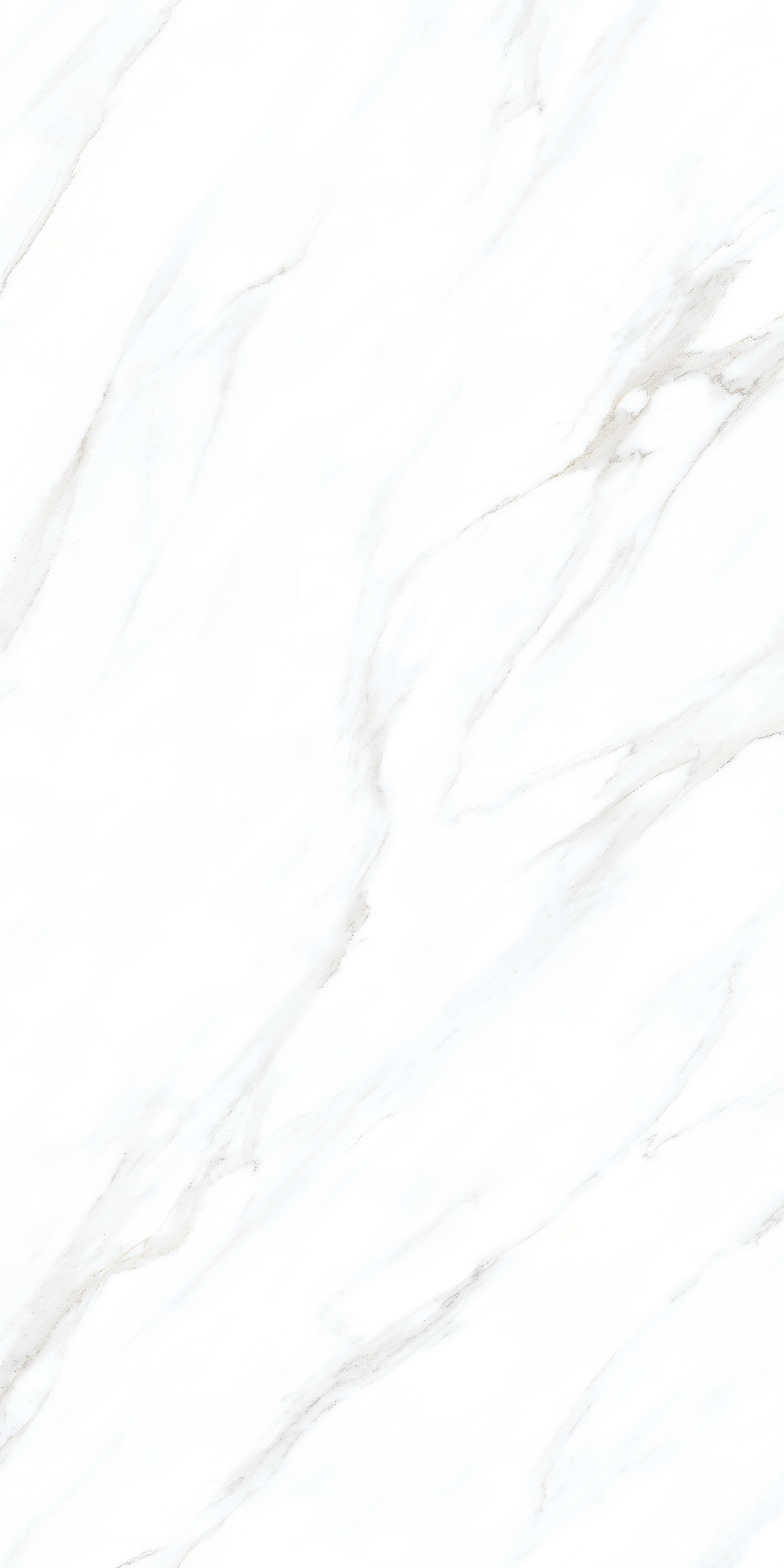 Antic White carving 60x120 Realistik
