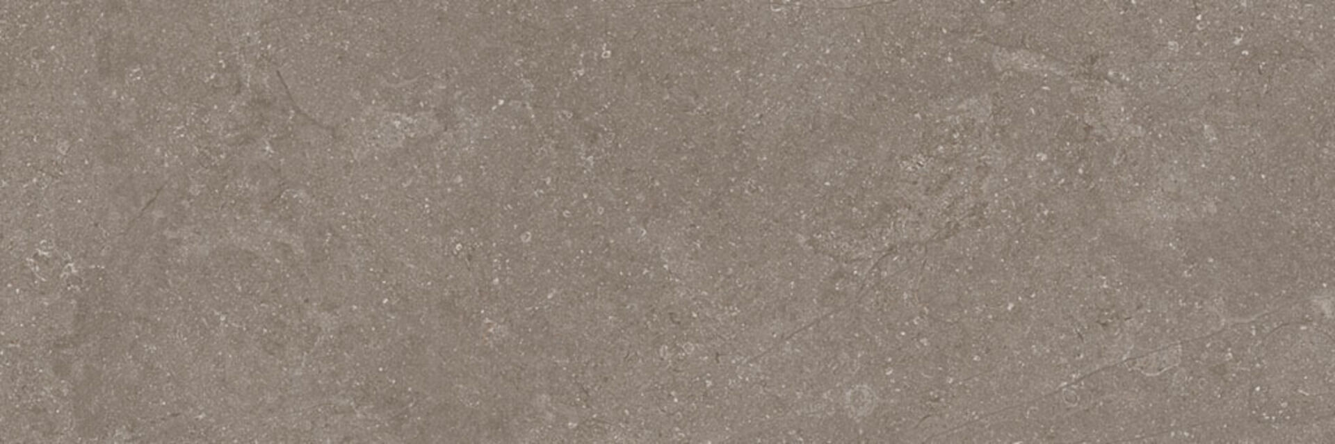 Next Taupe 40x120 El Molino
