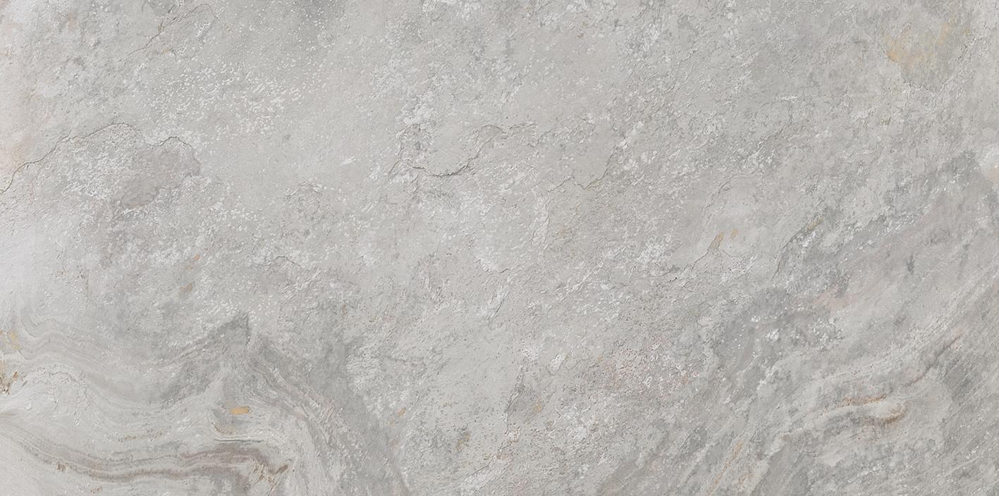 100202669 Image Silver 59.6x120 Porcelanosa