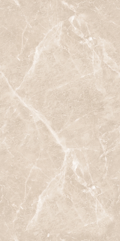 894 Gem Grey 120x60 Artcer