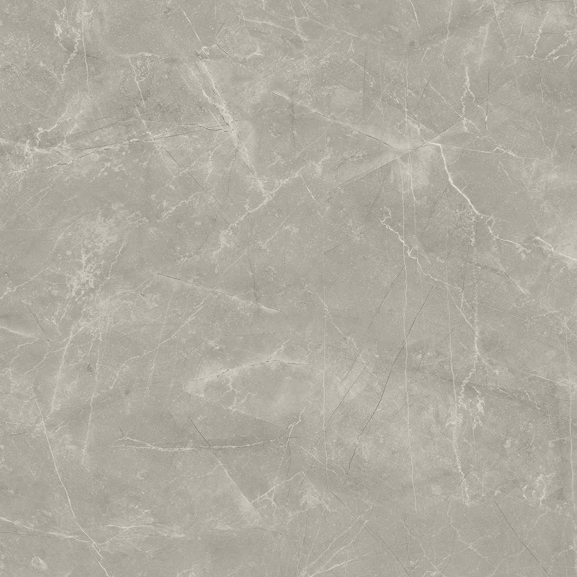 Wolf Grey 80х80 Laparet