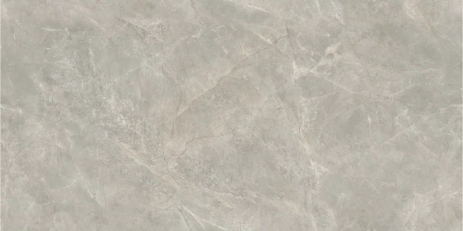 AS22-22 Clinker Gris 120х60 Avroria