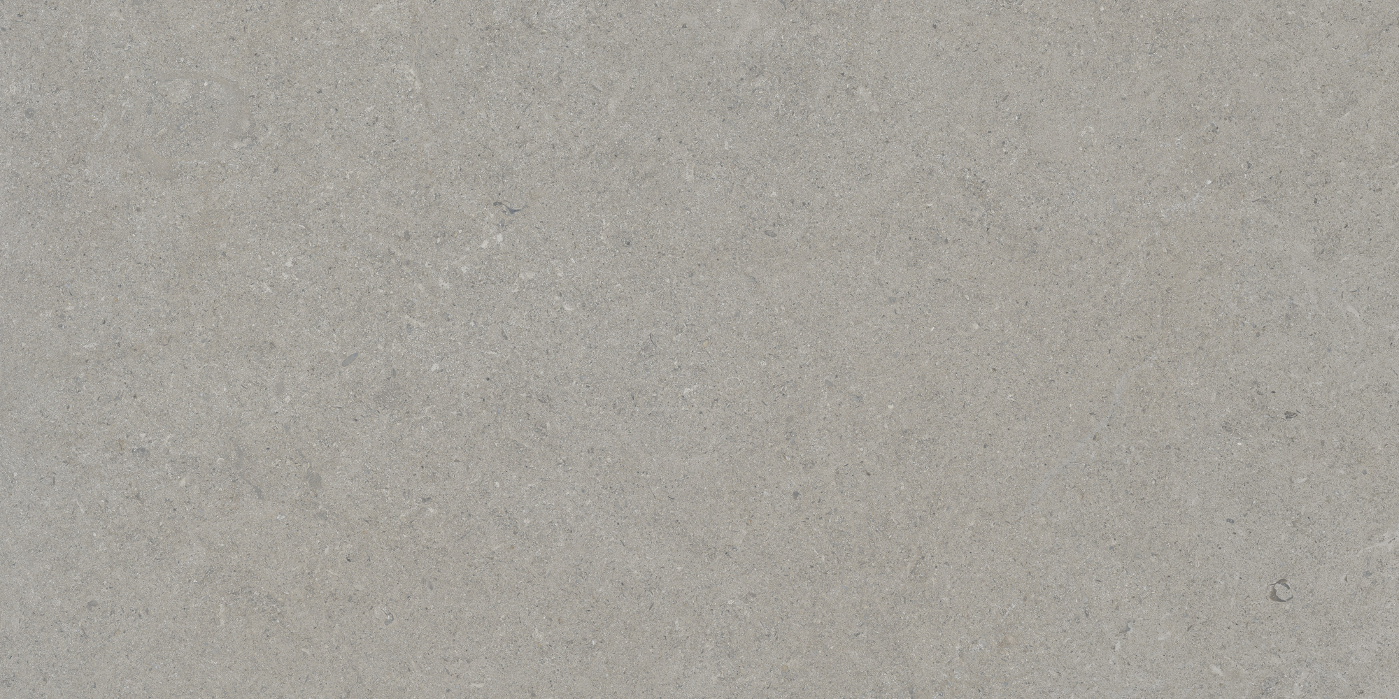 Calcare Silver 60x120 TAU Ceramica фото 10