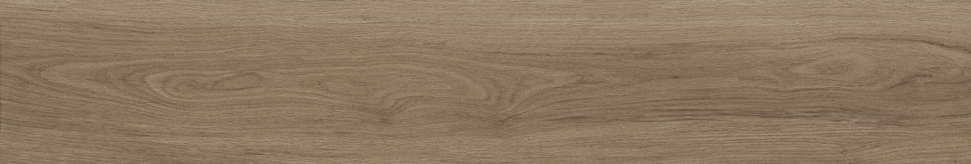 41729 Bloom Cognac SP/24x151x0,9/R 24x151 Peronda