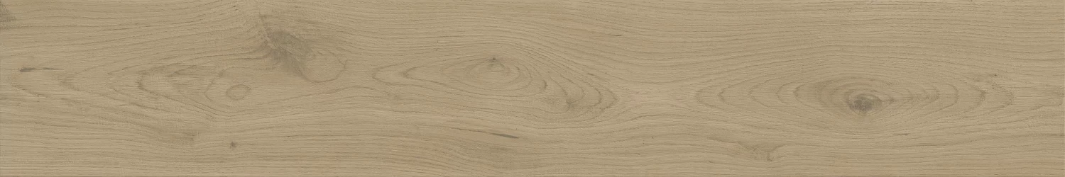 A840 Entice Ash Oak Natural R10 20x120 Atlas Concorde