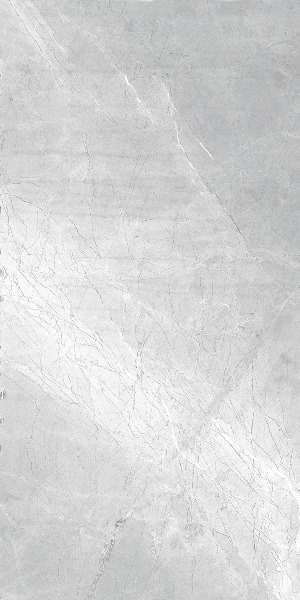 Asti Grey carving 60x120 Realistik