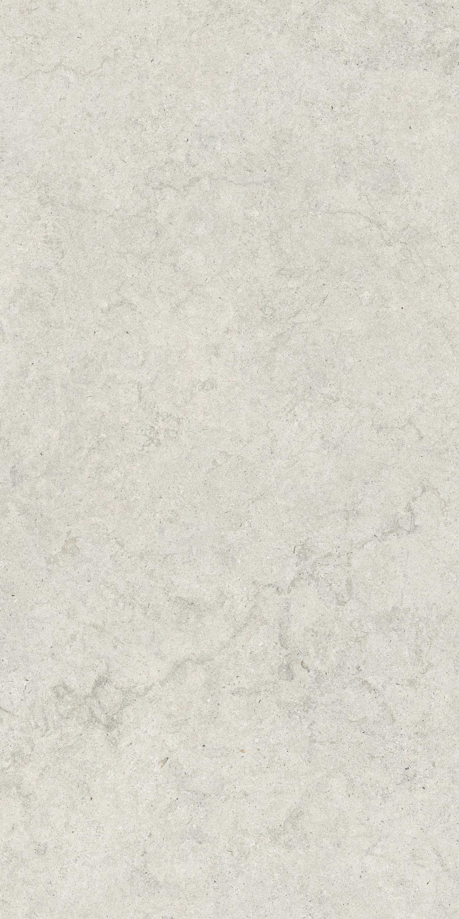 610010004073 Саленто Уайт Рет 60x120 ColiseumGres фото 5