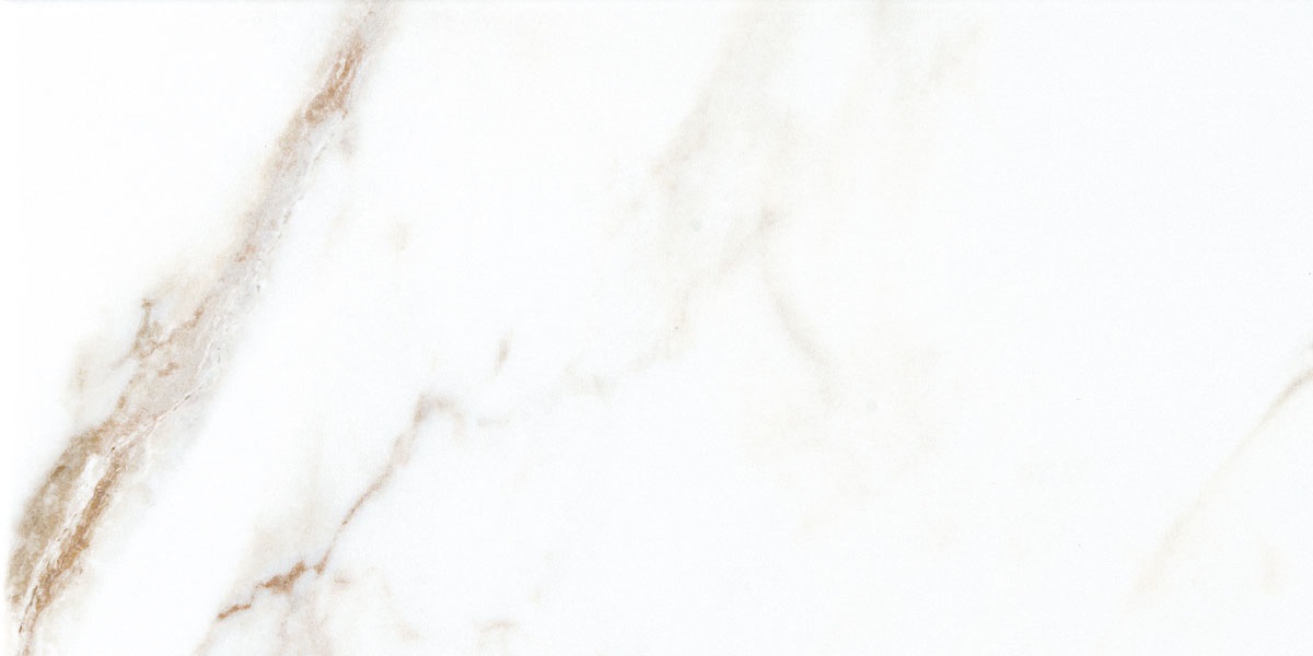 Dorian Gold Polished 60x120 Prissmacer