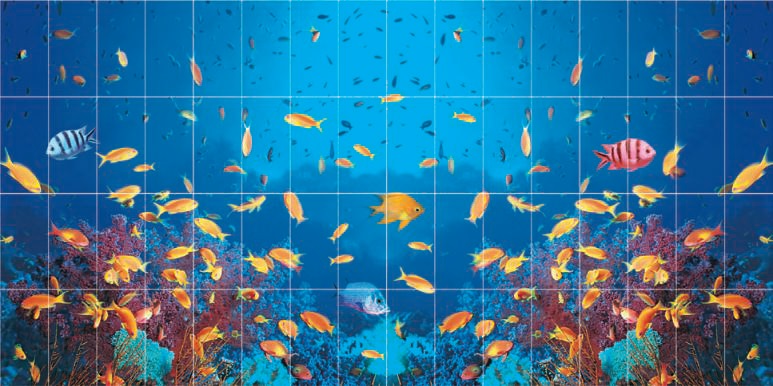 FS025 Fotosera F05 12,5х25 (200x100) Serapool