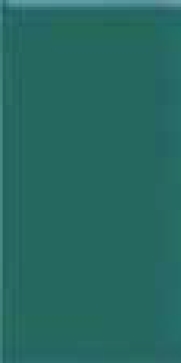 80122.1 Dark Green 12,5x25 Serapool