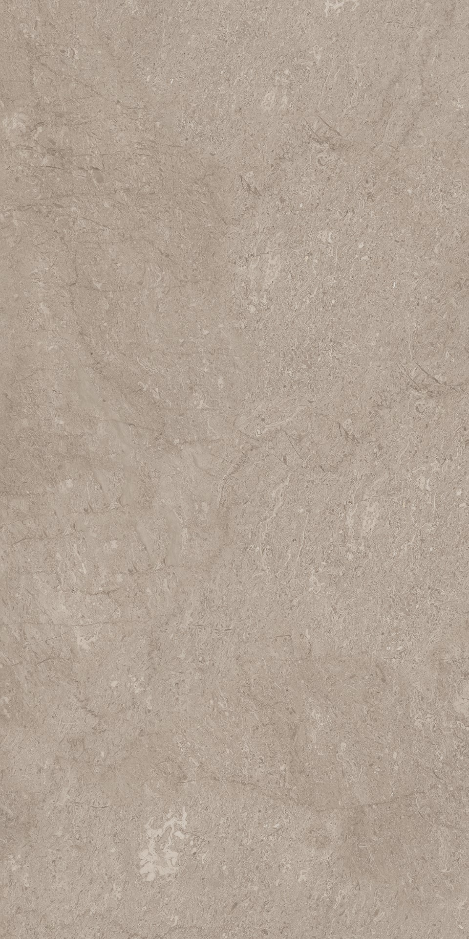 AEM02 Элемента Серый Неполированный Рект 60x120x9 Ametis by Estima фото 5