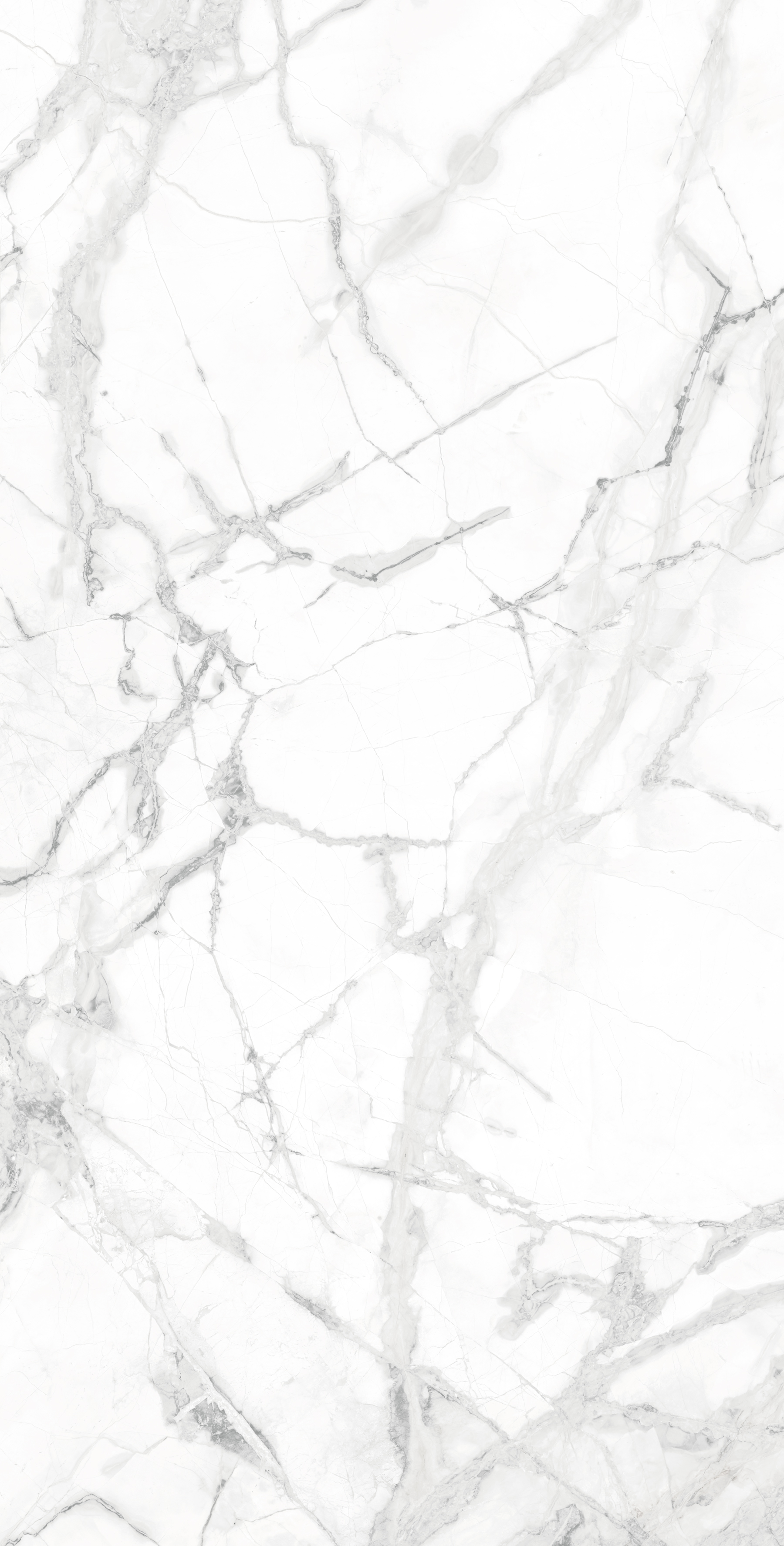 CR4023-A Diverso White Carving 60x120 Arcadia Ceramica фото 2