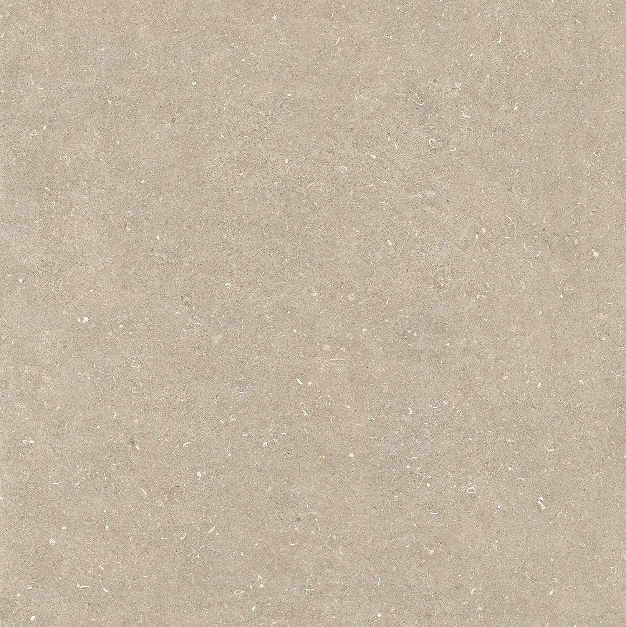 785579 Rinascenza Arena Conchiglia Matte 6mm 120x120 Casa Dolce Casa фото 5