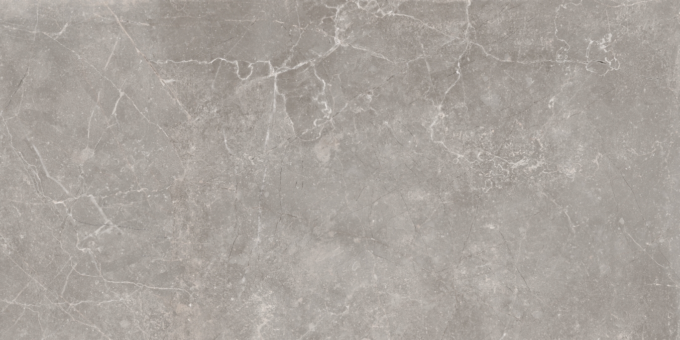 Concept Gray 60x120 Baldocer