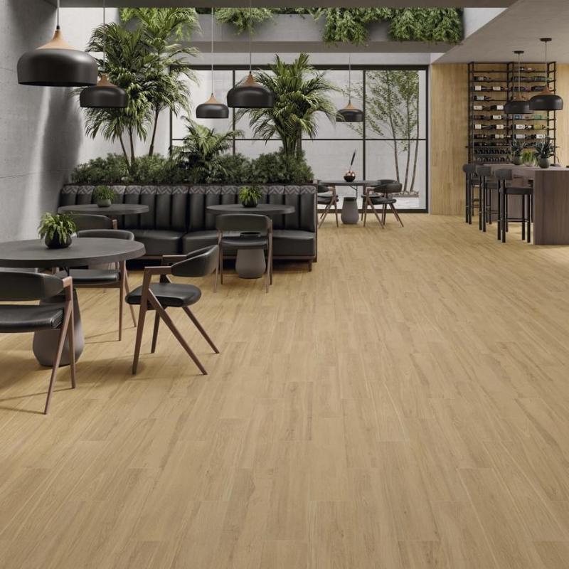 Dexter STN Ceramica
