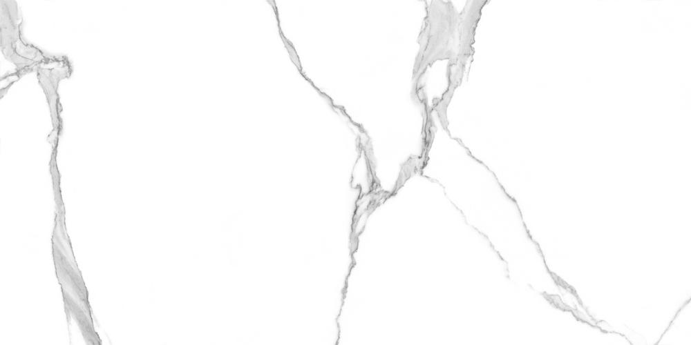 GT120601503PR Anima Белый полированный 60x120 Global Tile