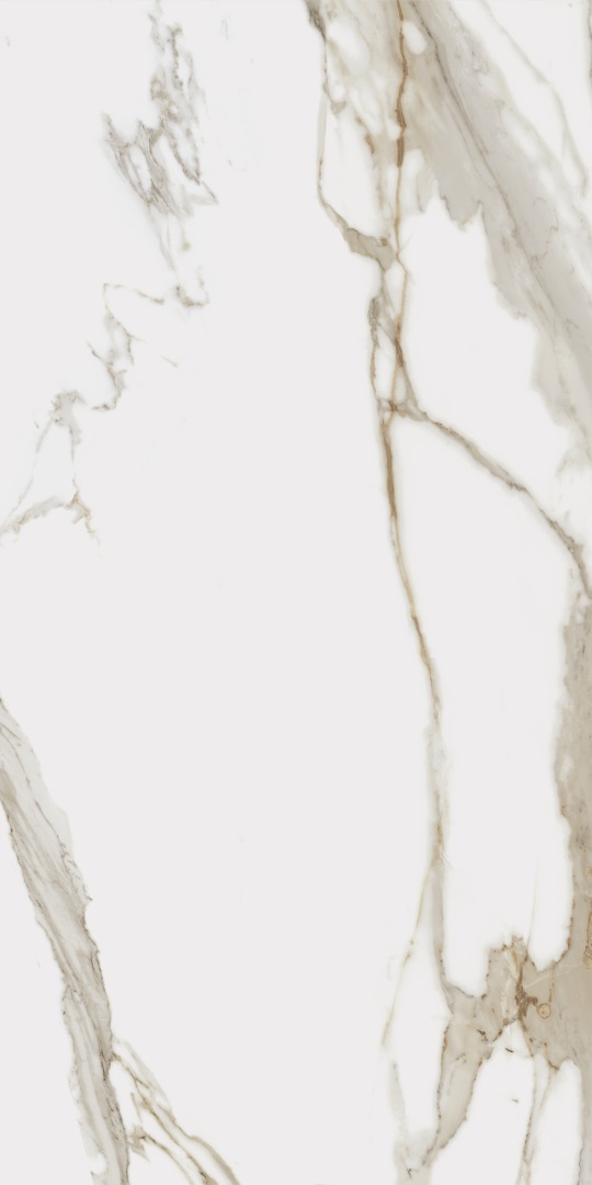 610010001411 Charme Evo Calacatta Nat Rett 60x120 Italon