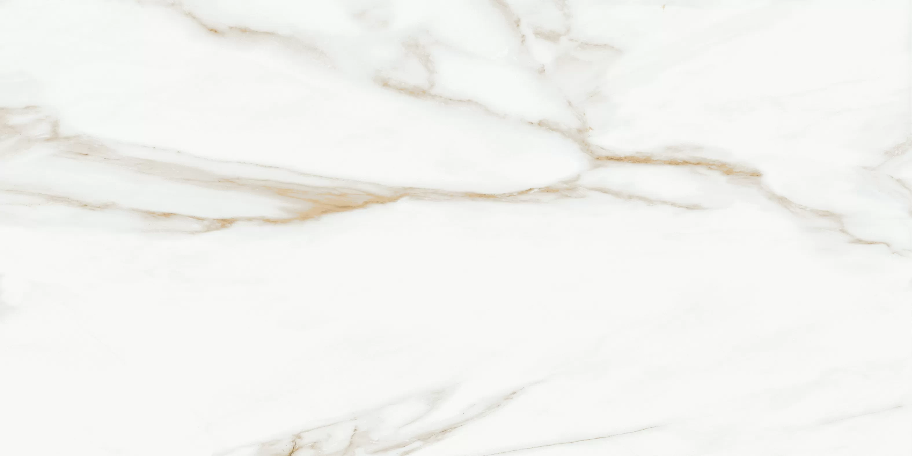 Oriental White 60x120 Bluezone фото 7