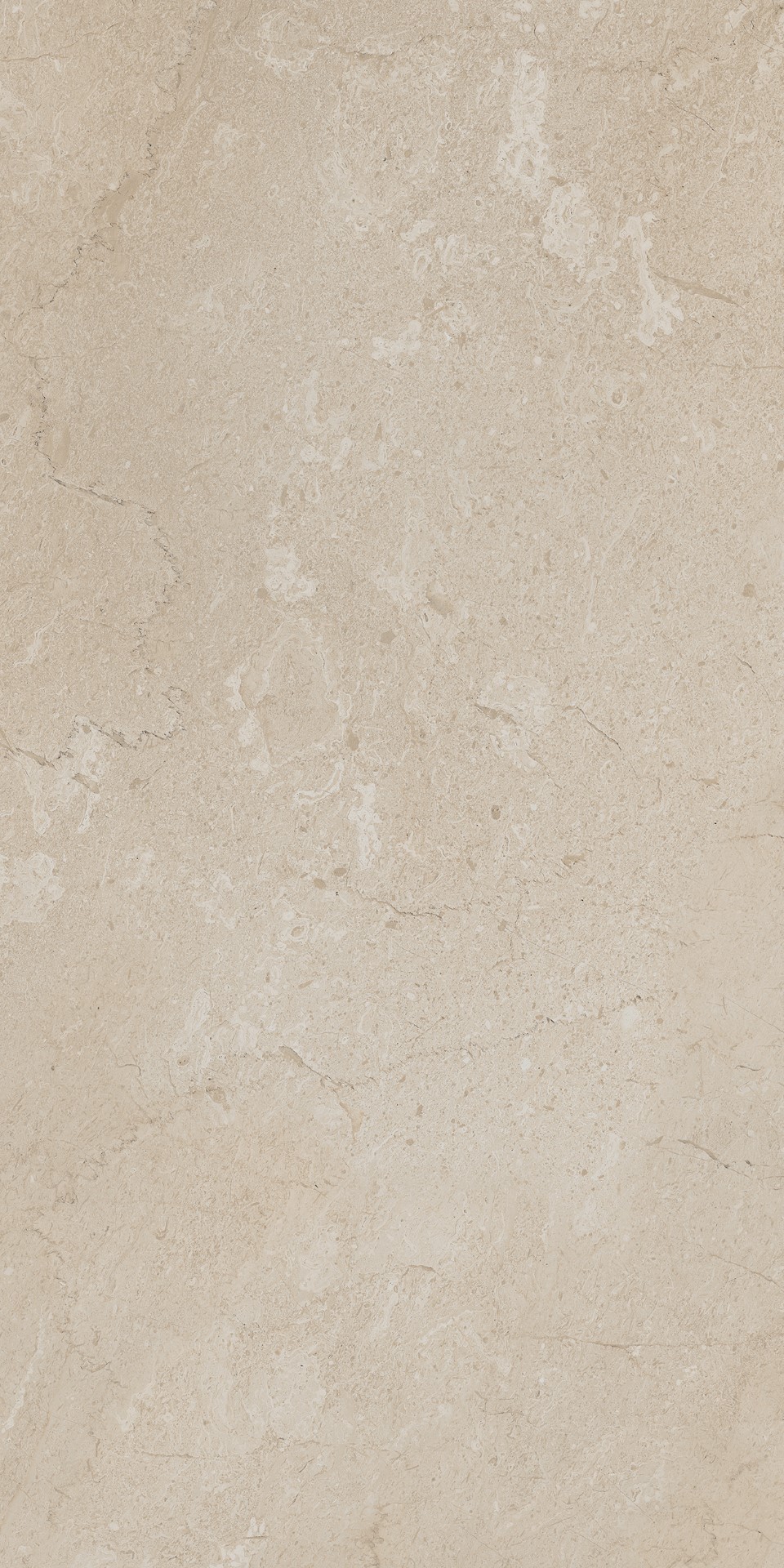 AEM01 Элемента Бежевый Неполированный Рект 60x120x9 Ametis by Estima фото 10