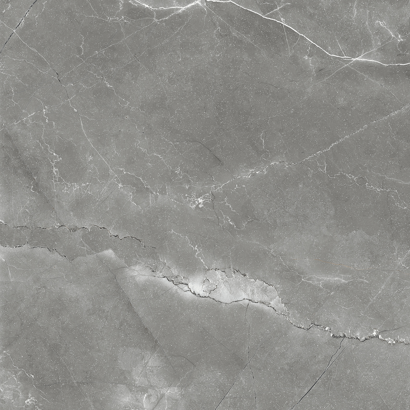 CR6011-A Pulpis Nero Carving 60x60 Arcadia Ceramica фото 7