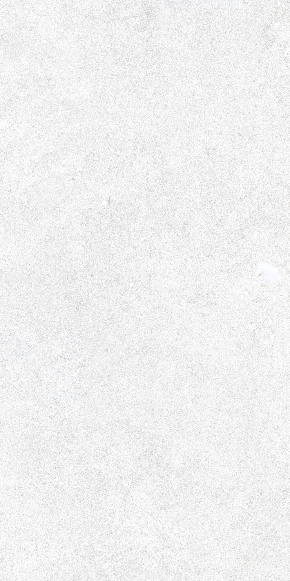 36905 Cluny White 4D/50X100X2/A/R 50x100 Peronda фото 13