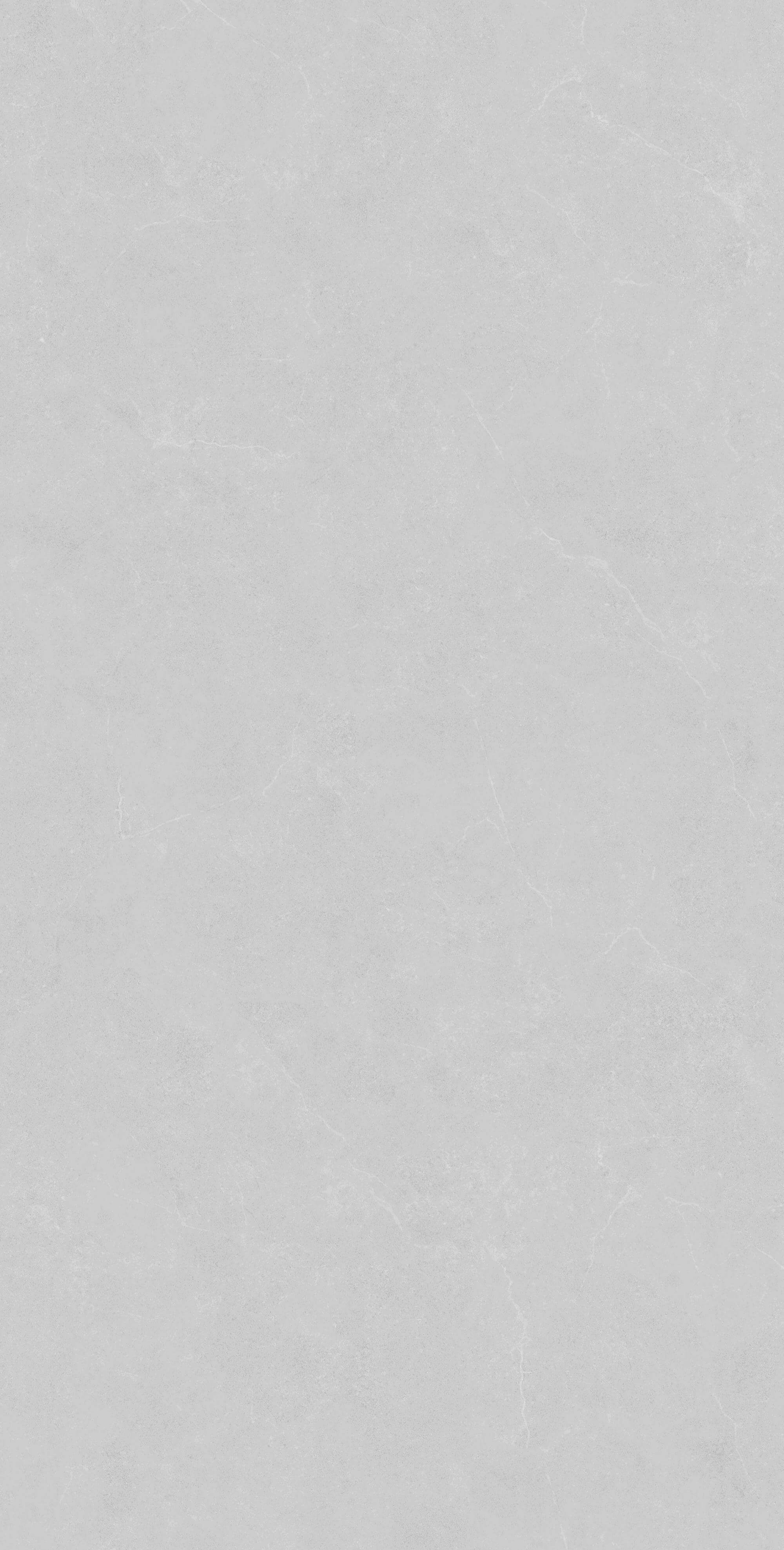 Benefit Light Grey Rect Matt 60x120 Bonaparte фото 2