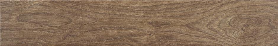 Asbury Forest 15x90 STN Ceramica