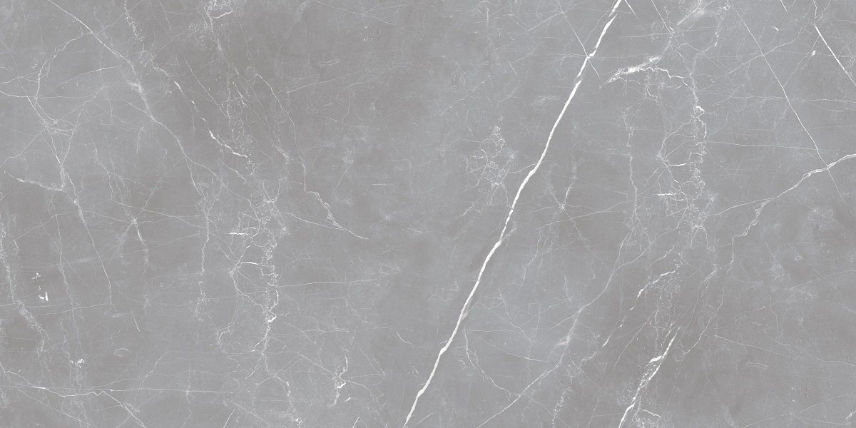 Arion Gray Dark 59.7х119.7 Ocean-Ceramic