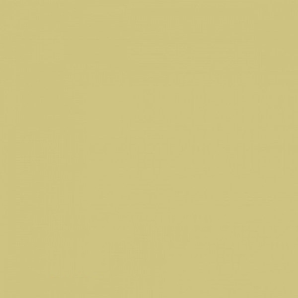WAA1N221 Color One 20*20 RAKO