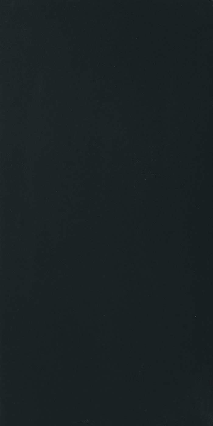 751180 B&W Black Naturale Ret 6mm 60x120 Floor Gres
