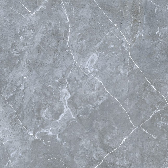 GRS02-16 Petra Northern Silver 60x60 Gresse