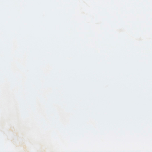 P1856999 Persia S-R 59,6x59,6 Porcelanosa